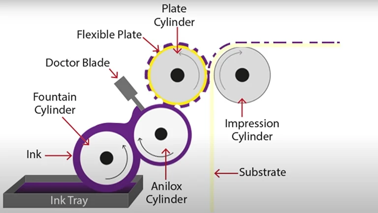 Flexographic printing process diagram, showing cylinders and ink flow system