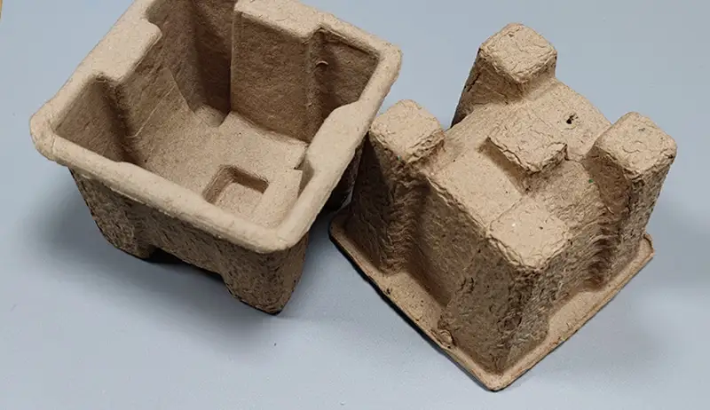 Molded pulp insert inside sustainable box with insert