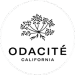 Team ODACITÉ