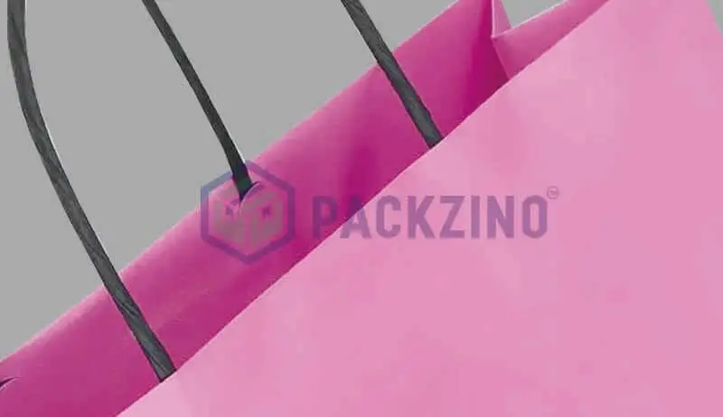 Purple paper bag with black concealed twisted paper handles