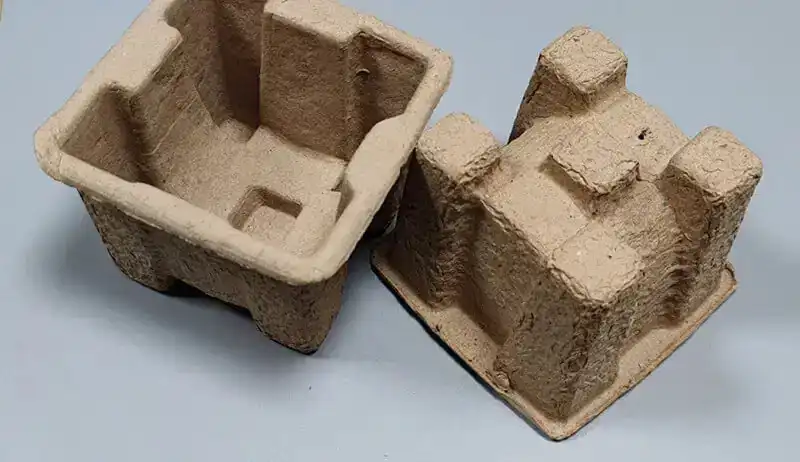 Molded pulp insert inside sustainable box with insert