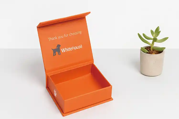 Luxury rigid box for premium pet accessories with printed interior