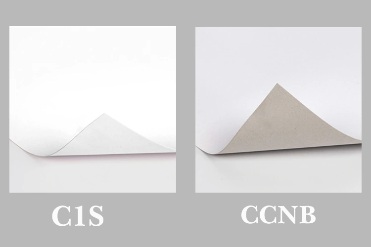 Side-by-side comparison of C1S coated paperboard and CCNB gray back board used in folding carton packaging, showing surface and thickness differences.