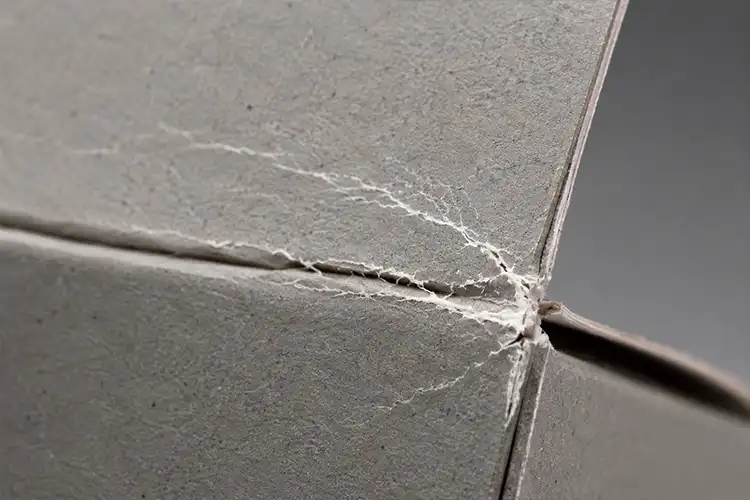 Close-up of CCNB recycled grey board showing severe fiber breakage and visible white cracking along folding carton crease line